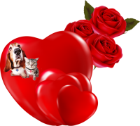 a valentine greeting